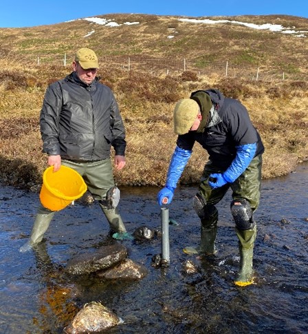 Fishery officers planting salmon eggs